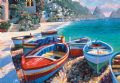 Capri Cove Howard Behrens