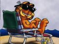 Garfield - Deniz Sefas